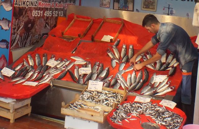 Balıkçınız Kerem İnönü Caddesinde Hizmetinize Açılmıştır