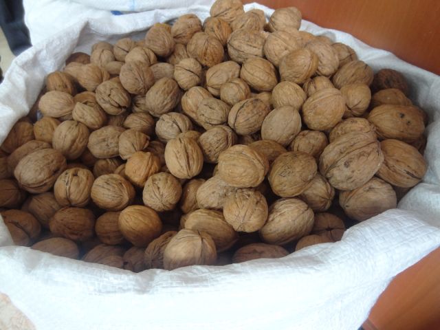 Buda Oldu Vatandaşın Cevizlerini çaldılar