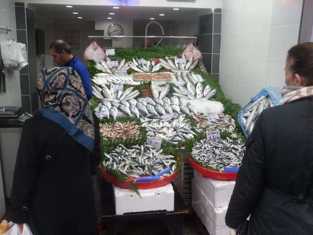 Balığı Denizde Tanıyan Adamlar