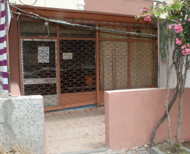 3 Lira İçin Canından Oldu