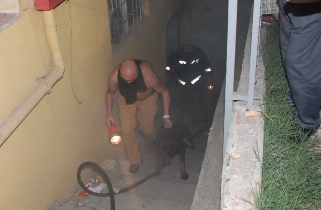 Canlarını Hiçe Saydılar Köpek Pascalı Kurtardılar