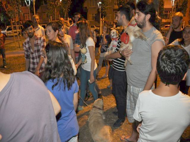 Vatandaşların Köpekleri Başlarına Bela Oldu