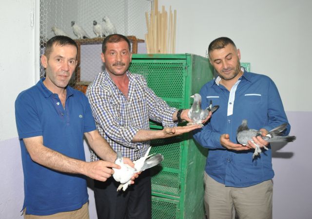 Güngören Kuş Yetiştiriciler Mezatı Kapılarını Açtı