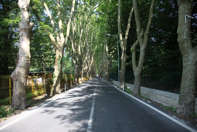 Artık Güngören'in De Piknik Alanı Var