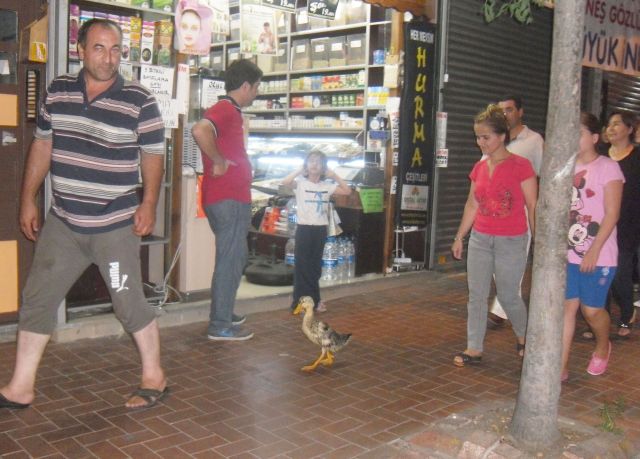 İnönü Caddesinde Bili Bili Geçti