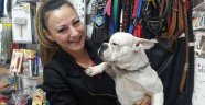 Crazy Dogs Petshop Hayvanlara Özel Otel Açıyor